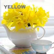 The color yellow and its attributes