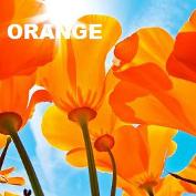 The color orange and its attributes