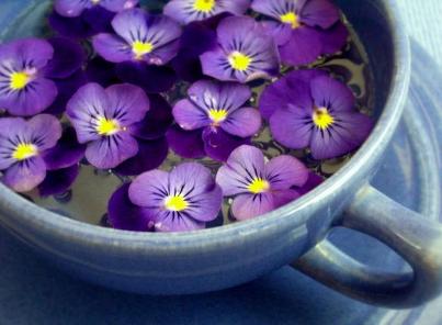 Violets in a Cup of Tea